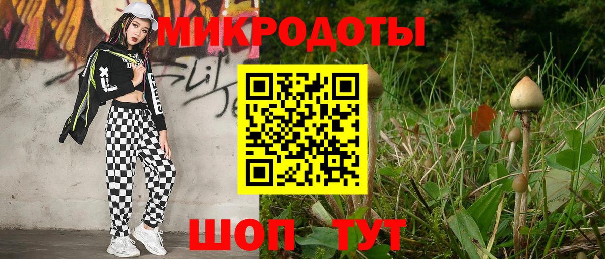 Галлюциногенные грибы прущие грибы  Вход с VPN  Галлюциногенные грибы мицелий  Балашиха 